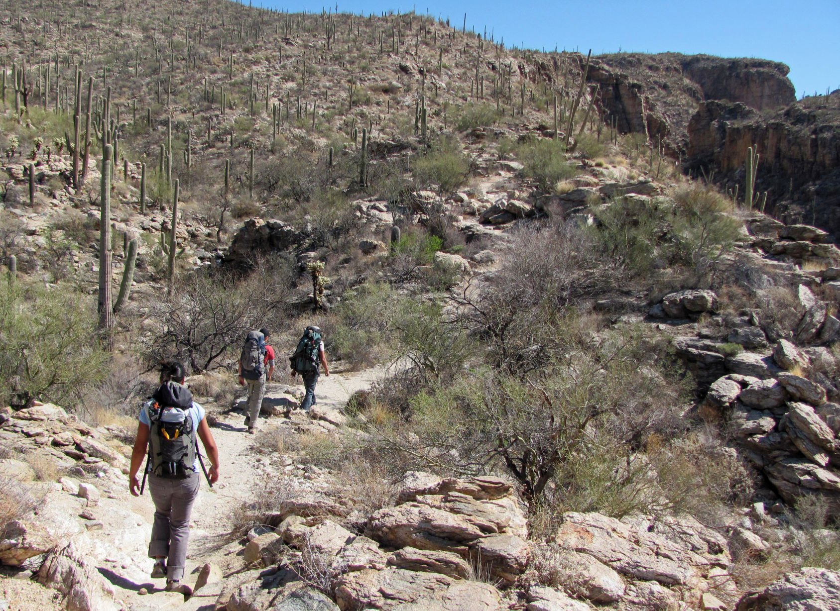 Trails on the eastern slopes of the Santa Catalina Mountains